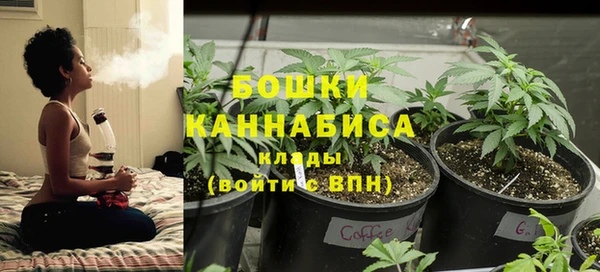 марки lsd Белокуриха